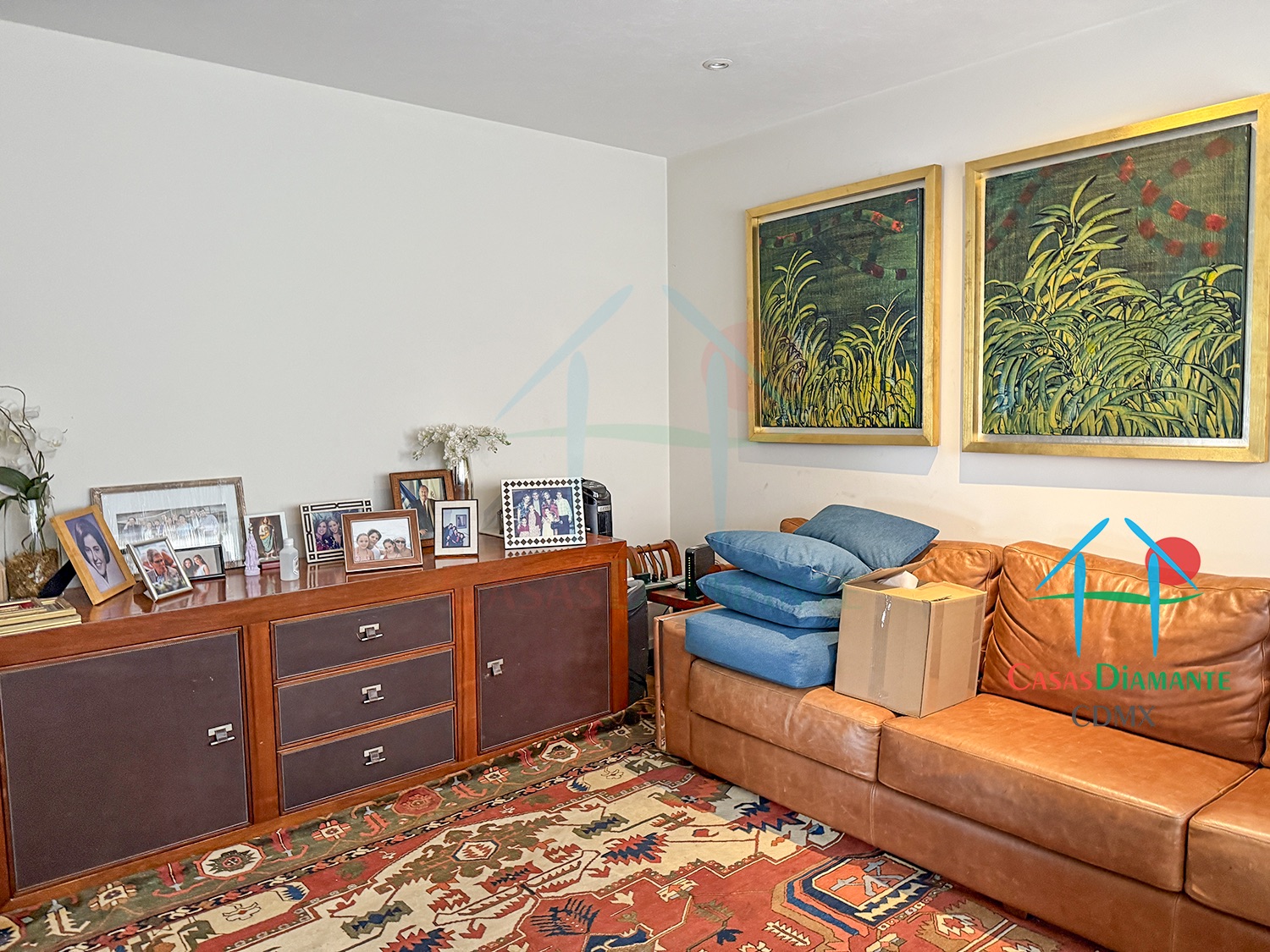 Jardines del Pedregal Casa Árbol B - Estudio 5